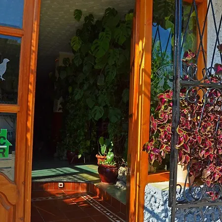 Guest house Perdices Valor